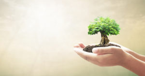 co create business values